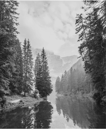 ling aretz servicios home ambiental