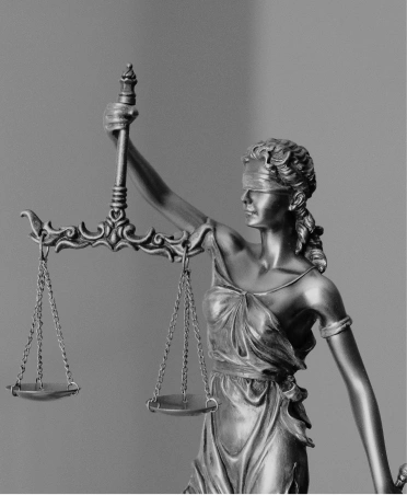 ling aretz servicios home constitucional