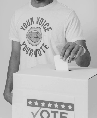 ling aretz servicios home electoral